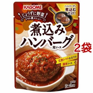 カゴメ 煮込みハンバーグ用ソース(250g*2袋セット)[ソース]