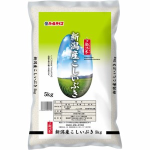 令和5年産 新潟県産 こしいぶき(5kg)[精米]