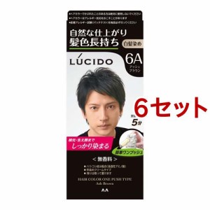 ルシード ワンプッシュケアカラー アッシュブラウン(50g+50g*6セット)[白髪染め 男性用]