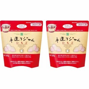 カンピー ザ・プレミアム手造りジャムいちごつめかえ用(500g*2個セット)[ジャム・マーマレード]