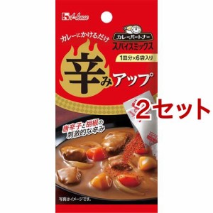 カレーパートナー スパイスミックス 辛みアップ(4.2g*2セット)[香辛料]