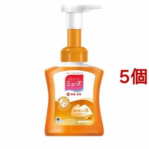 ミューズ 泡ハンドソープ フルーティフレッシュ 本体(250ml*5個セット)[泡ハンドソープ]