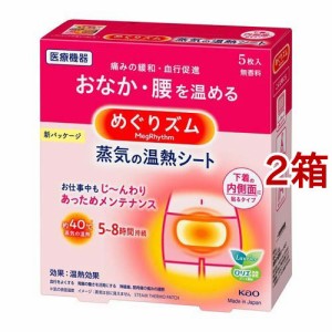 めぐりズム 蒸気の温熱シート 下着の内側面に貼るタイプ(5枚入*2コセット)[温熱シート]