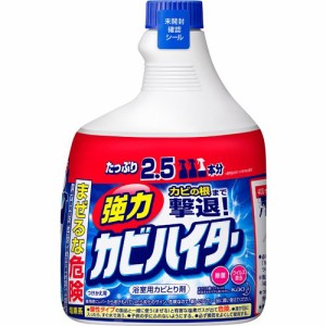 強力カビハイター お風呂用カビ取り剤 付け替え 特大(1000ml)[お風呂用カビ取り・防カビ剤]