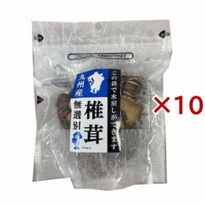 九州産 無選別椎茸(40g×10セット)[乾物]