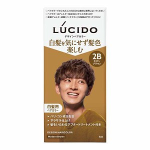 LUCIDO(ルシード) デザインヘアカラー モダンブラウン 白髪染め メンズ(1セット)[白髪染め 男性用]