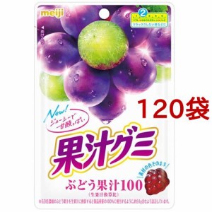 果汁グミ ぶどう(54g*120袋セット)[グミ]