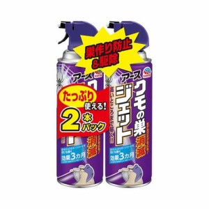 【企画品】クモの巣 消滅ジェット(450ml*2本入)[殺虫剤 不快害虫]