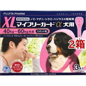 シラミの通販 Au Pay マーケット 3ページ目