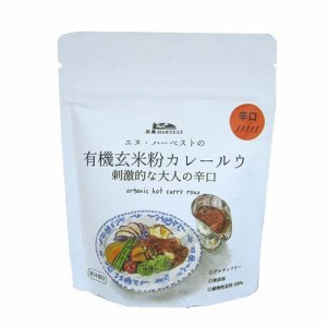 有機玄米粉カレールウ 刺激的な大人の辛口(100g)[調理用カレー]