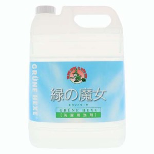 業務用 洗濯 洗剤の通販｜au PAY マーケット