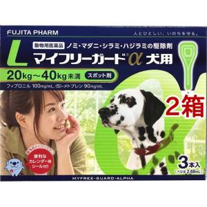 シラミの通販 Au Pay マーケット 3ページ目