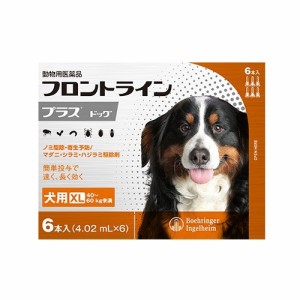 【動物用医薬品】フロントラインプラス 犬用 XL 40〜60kg未満(6本入)[犬用]