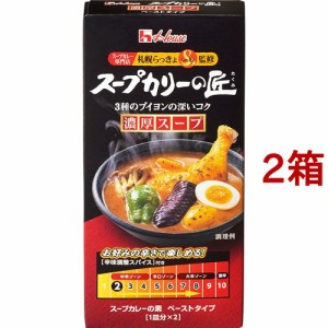 スープカリーの匠 ペーストタイプ 濃厚辛口(119g*2箱セット)[調理用カレー]