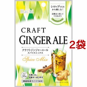 クラフトジンジャーエール スパイスミックス(35g*2袋セット)[香辛料]