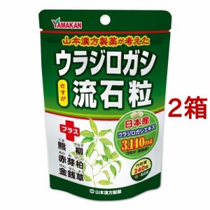 ウラジロガシ流石粒(250mg*240粒*2箱セット)[その他ハーブサプリメント]