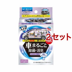 クルマのスッキーリ！ Sukki-ri！車まるごと 除菌・消臭 ミニバン・大型車用(2セット)[車用 消臭・芳香剤]