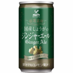 神戸居留地 厳選素材 国産生姜のジンジャーエール 缶 炭酸飲料(185ml*20本入)[炭酸飲料]