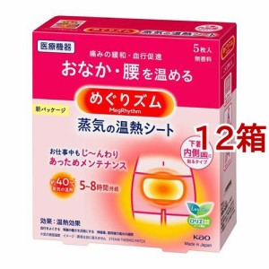 めぐりズム 蒸気の温熱シート 下着の内側面に貼るタイプ(5枚入*12箱セット)[温熱シート]