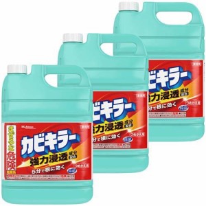 カビキラー カビ取り剤 業務用サイズ 詰め替え 大容量(5000g*3個セット)[お風呂用カビ取り・防カビ剤]