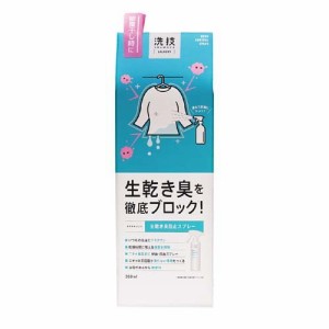 洗技 生乾き臭防止スプレー(300ml)[洗濯洗剤 その他]