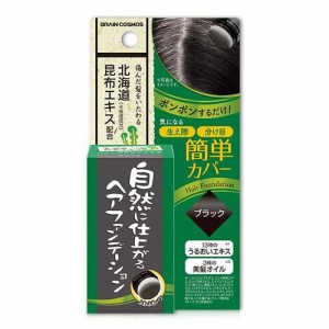 自然に仕上がるヘアファンデーション ブラック(5g)[白髪隠し]