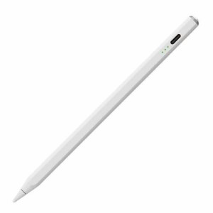 Digio2 iPad専用 充電式タッチペン TPEN-001W(1本)[その他]