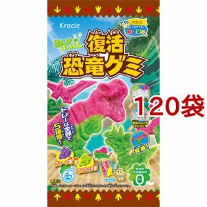 恐竜 お菓子の通販 Au Pay マーケット