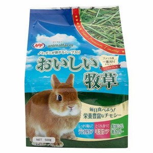 アニマルファーム おいしい牧草(500g)[小動物の牧草・敷材]