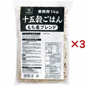 はくばく 業務用 十五穀ごはん もち麦ブレンド(1kg×3セット)[雑穀米]