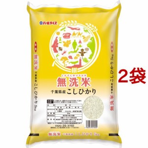 令和5年産 無洗米 千葉県産コシヒカリ(5kg*2袋セット／10kg)[精米]