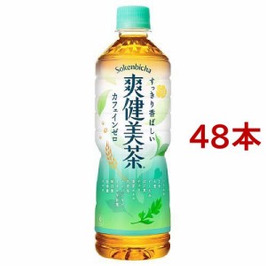 爽健美茶 PET(600ml*48本入)[ブレンド茶]