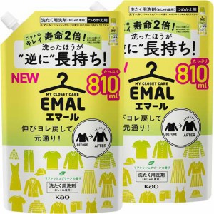 エマール 洗濯洗剤 リフレッシュグリーンの香り 詰め替え 特大サイズ(810ml×2セット)[ドライ用・ウール用洗剤]