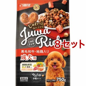 じゅわリッチ 黒毛和牛・地鶏入り(750g*8セット)[ドッグフード(ソフト・セミモイスト)]