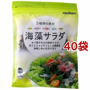 5種類の具材 海藻サラダ(25g*40袋セット)[乾物・惣菜 その他]