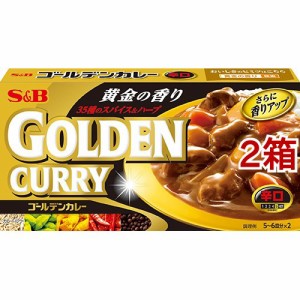 ゴールデンカレー 辛口(198g*2コセット)[調理用カレー]