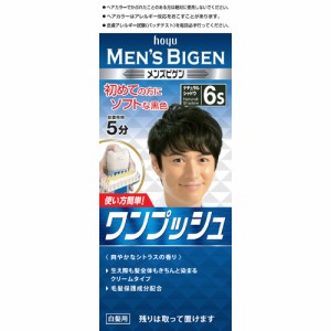 メンズビゲン ワンプッシュ 6S ナチュラルシャドウ(1セット)[白髪染め 男性用]