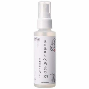 玉川温泉とへちまの力(ちから) 月桃の香りスプレー(100ml)[ハンドケア その他]