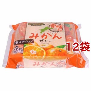 蔵王高原農園 愛媛県産みかんゼリー(68g*4個入*12袋セット)[ゼリー]