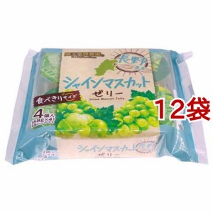 蔵王高原農園 長野県産シャインマスカットゼリー(68g*4個入*12袋セット)[ゼリー]