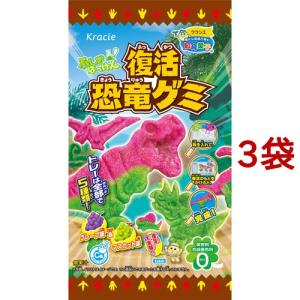 恐竜 お菓子の通販 Au Pay マーケット