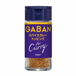 GABAN for Curry スパイスカレートッピング(18g)[香辛料]