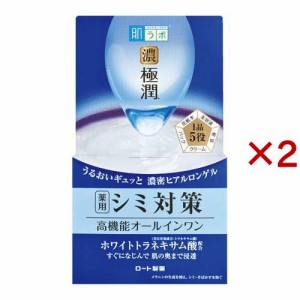 肌研(ハダラボ) 極潤 美白パーフェクトゲル(100g×2セット)[オールインワン美容液]