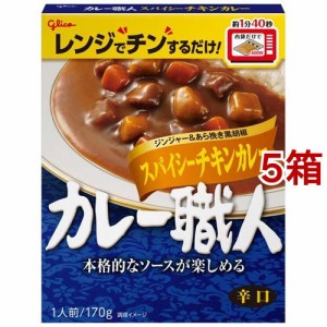 カレー職人 スパイシーチキンカレー 辛口(170g*5箱セット)[レトルトカレー]