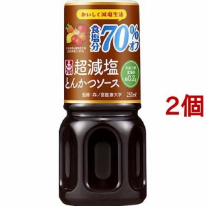 イカリ 超減塩とんかつソース(250ml*2個セット)[ソース]