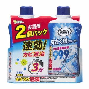 洗浄力 洗たく槽クリーナー(550g*2コ入)[洗濯槽用洗剤]