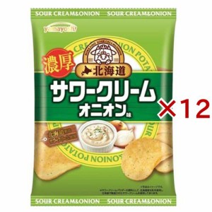 ポテトチップス 北海道サワークリームオニオン味(47g×12セット)[スナック菓子]