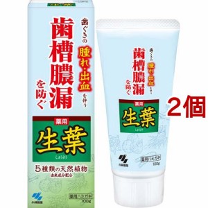 薬用歯みがき 生葉(100g*2コセット)[歯周病・知覚過敏用歯磨き粉]