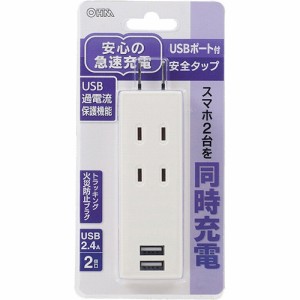 USBポート付安全タップ 2個口 白 HS-TU2SPC-W(1個)[ＯＡ商品]