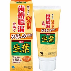 ひきしめ生葉 ひきしめ実感タイプ(100g*2コセット)[歯周病・知覚過敏用歯磨き粉]